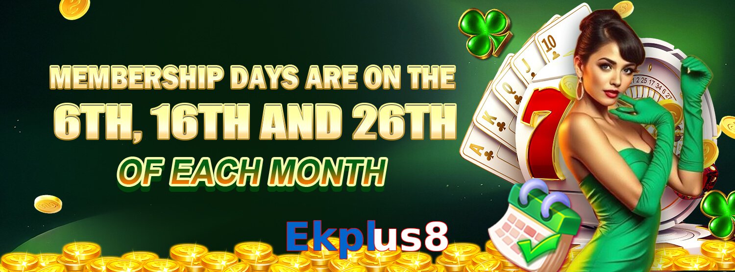 Ekplus8